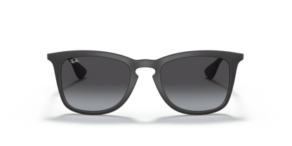 Rubber Black - 0RB4221 8053672358766