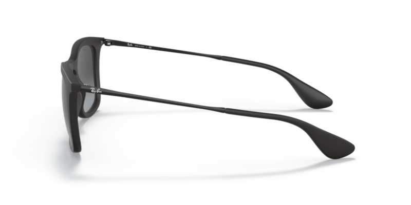 Rubber Black - 0RB4221 8053672358766