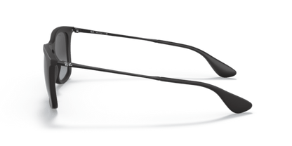 Rubber Black - 0RB4221 8053672358766