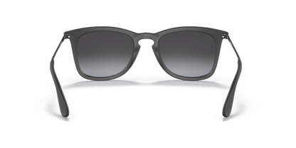 Rubber Black - 0RB4221 8053672358766