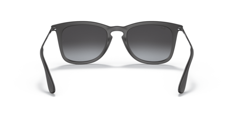 Rubber Black - 0RB4221 8053672358766