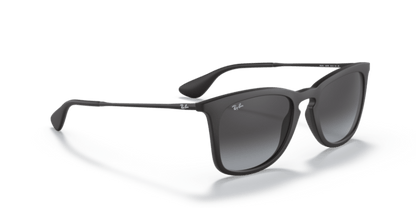 Rubber Black - 0RB4221 8053672358766