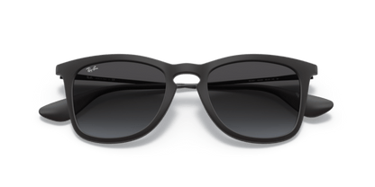 Rubber Black - 0RB4221 8053672358766