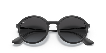 Rubber Black - 0RB4222 8053672359176