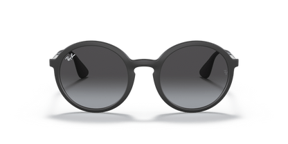 Rubber Black - 0RB4222 8053672359176