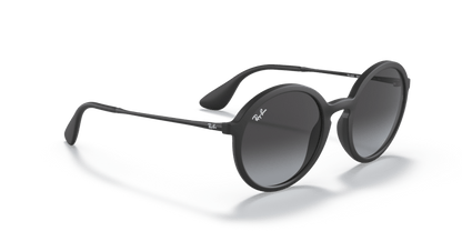 Rubber Black - 0RB4222 8053672359176