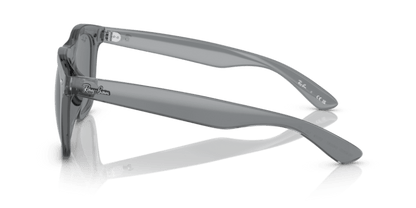 Transparent Grey - 0RB4260D 8056597757928