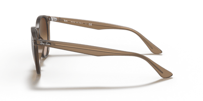 Beige - 0RB4305 8056597071628