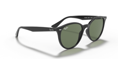 Black - 0RB4305 8056597071598