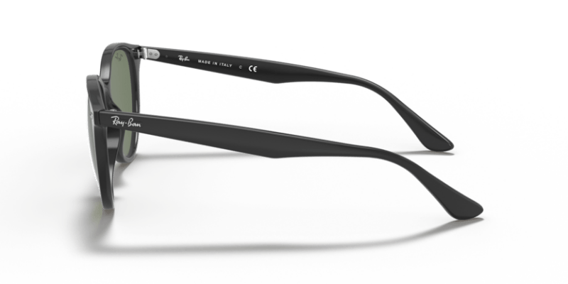 Black - 0RB4305 8056597071598