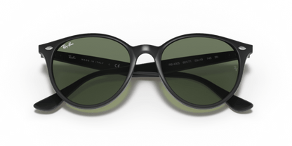 Black - 0RB4305 8056597071598