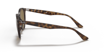 Light Havana - 0RB4305 8056597071604