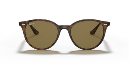 Light Havana - 0RB4305 8056597071604