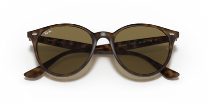 Light Havana - 0RB4305 8056597071604