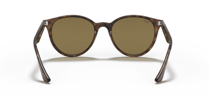 Light Havana - 0RB4305 8056597071604