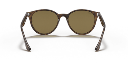 Light Havana - 0RB4305 8056597071604