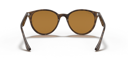 Light Havana - 0RB4305 8056597071659