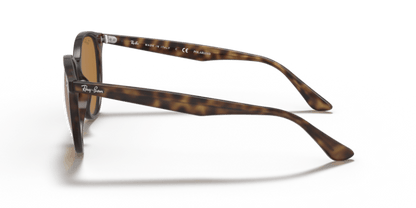 Light Havana - 0RB4305 8056597071659