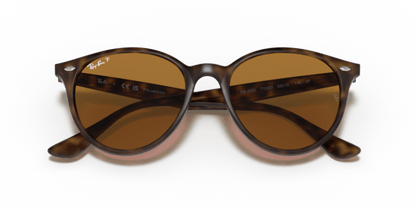 Light Havana - 0RB4305 8056597071659