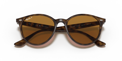 Light Havana - 0RB4305 8056597071659