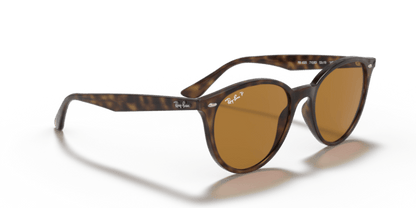 Light Havana - 0RB4305 8056597071659