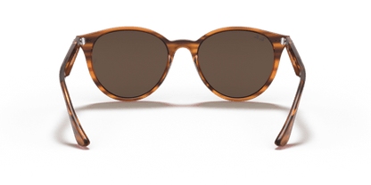 Striped Red Havana - 0RB4305 8056597071611