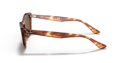 Striped Havana - 0RB4314N 8053672970715