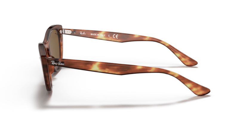 Striped Havana - 0RB4314N 8053672970715