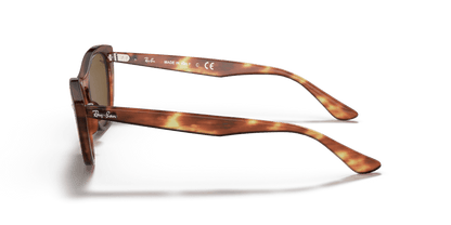 Striped Havana - 0RB4314N 8053672970715