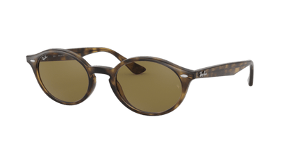 Light Havana - 0RB4315 8053672970777