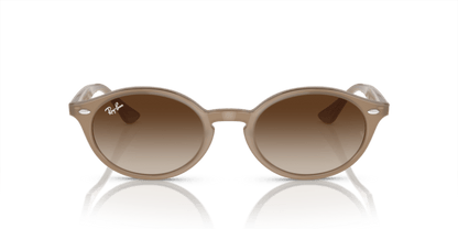 Turtledove - 0RB4315 8056597982368