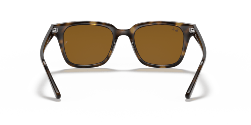 Light Havana - 0RB4323 8056597122559