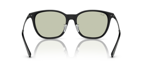 Black - 0RB4333D 8056597846295