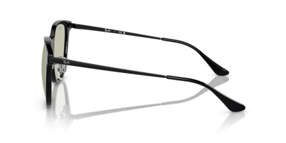 Black - 0RB4333D 8056597846295