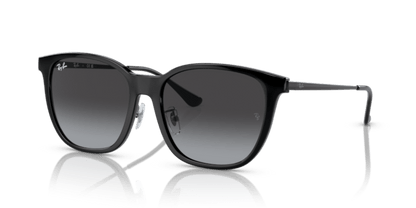 Black - 0RB4333D 8056262048696