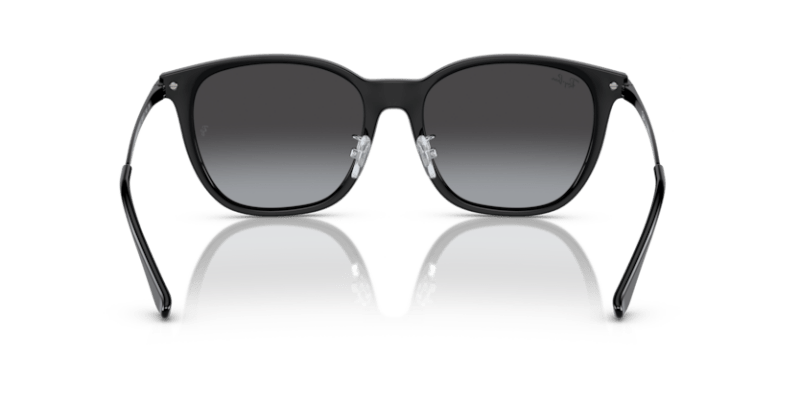 Black - 0RB4333D 8056262048696