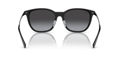 Black - 0RB4333D 8056262048696