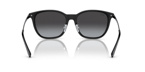 Black - 0RB4333D 8056262048696