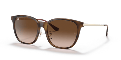 Light Havana - 0RB4333D 8056597179614