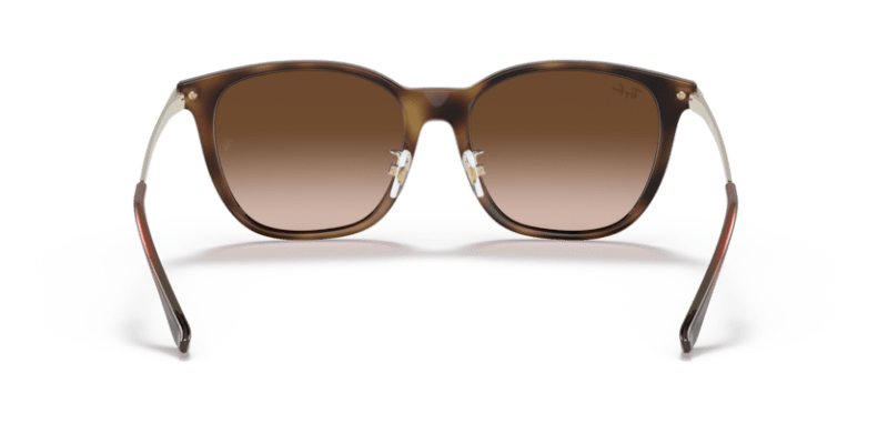 Light Havana - 0RB4333D 8056597179614