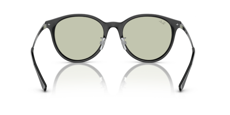 Black - 0RB4334D 8056597846103