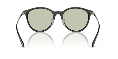 Black - 0RB4334D 8056597846103