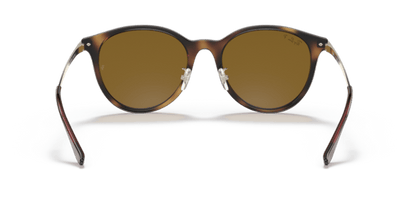 Light Havana - 0RB4334D 8056597213141