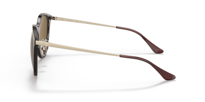 Light Havana - 0RB4334D 8056597213141