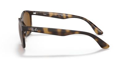 Havana - 0RB4374 8056597626965