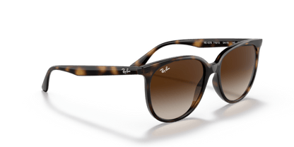 Havana - 0RB4378 8056597626897