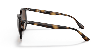 Havana - 0RB4378 8056597626897