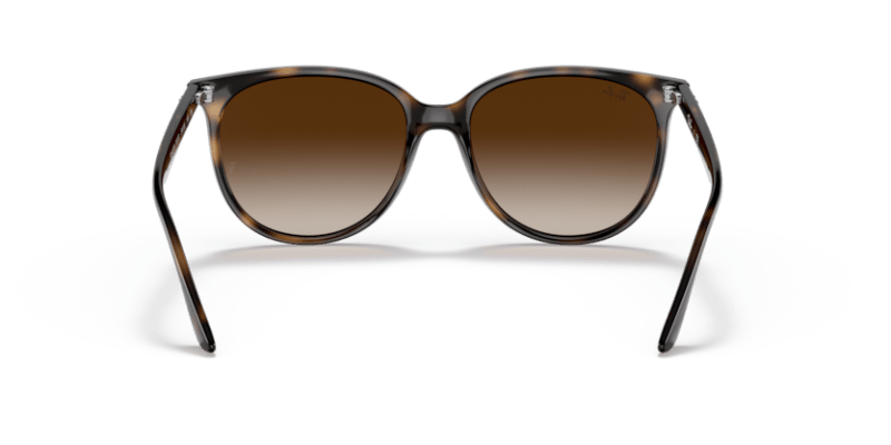 Havana - 0RB4378 8056597626897