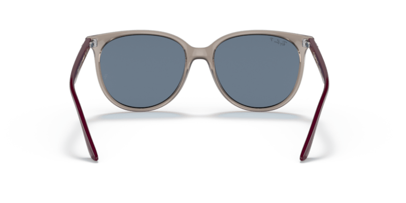 Transparent Grey - 0RB4378 8056597626873