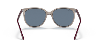 Transparent Grey - 0RB4378 8056597626873